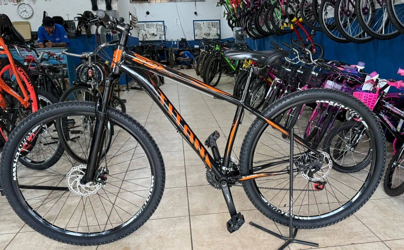 Bicicleta